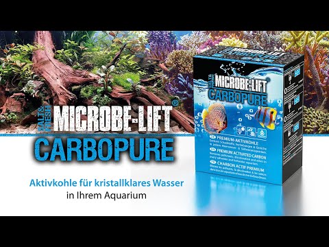 Why do you need activated carbon for your aquarium? - 𝐌𝐈𝐂𝐑𝐎𝐁𝐄-𝐋𝐈𝐅𝐓 𝐂𝐚𝐫𝐛𝐨𝐩𝐮𝐫𝐞 activated carbon.