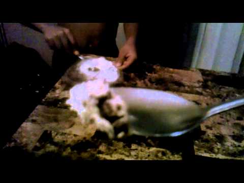 Choctibites browny and ice cream