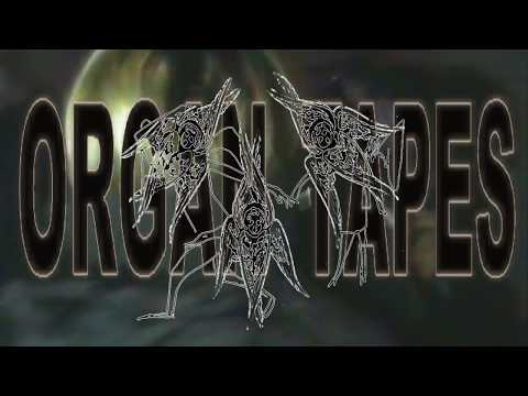 Organ Tapes - Seedling (official video)