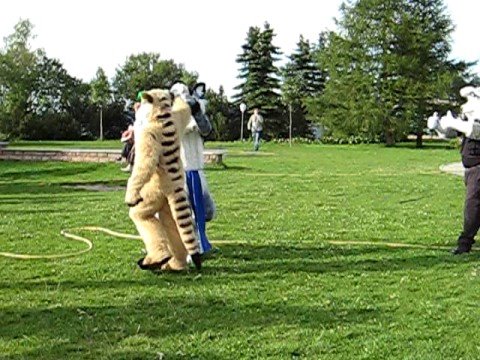 Eurofurence 14 - part 28