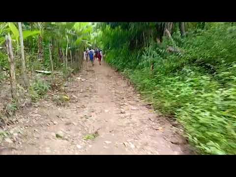 Mata da caborongoga ipira Bahia Brasil. 