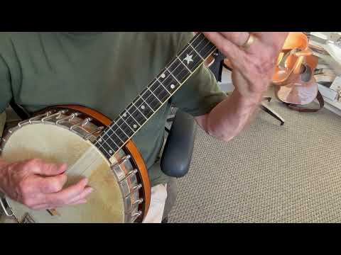 Vega Style M Tenor banjo 1923 - natural image 20