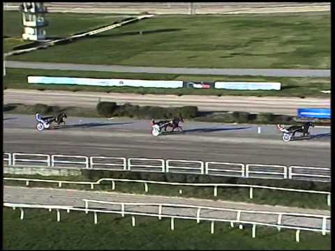 Trotto 30/12/2014 - 2° prova di qualifica