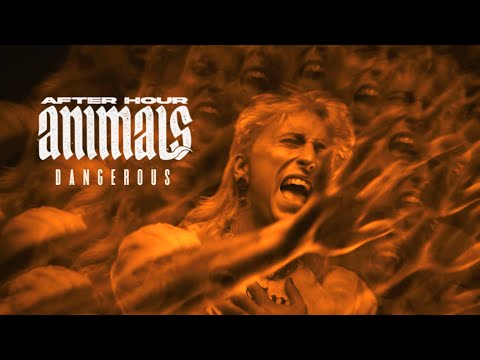 After Hour Animals - Dangerous (Official Music Video)
