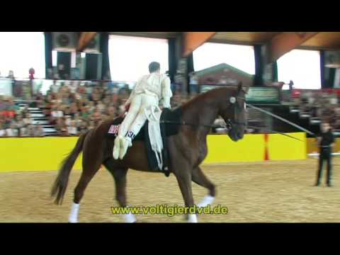 Daniel Kaiser - SAC - DVM Alsfeld 2015 - Male - 03