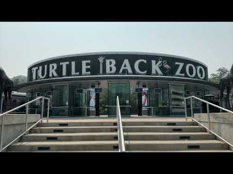 Newton Turtle Back Zoo