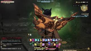 【クガネ登山】スサノオ村岡のぐだぐだFF14【ノーマル】