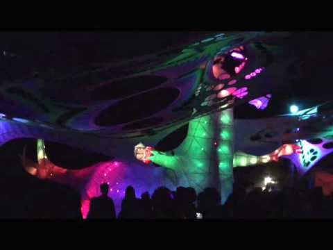 Sonic Species vs Zen Mechanics  Spice Travel