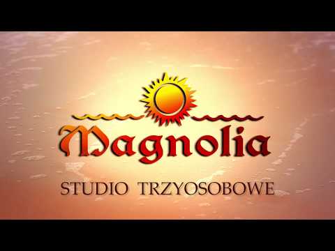 Studio Trzyosobowe ☀️🏖️ 🏡 Domki Letniskowe Magnolia