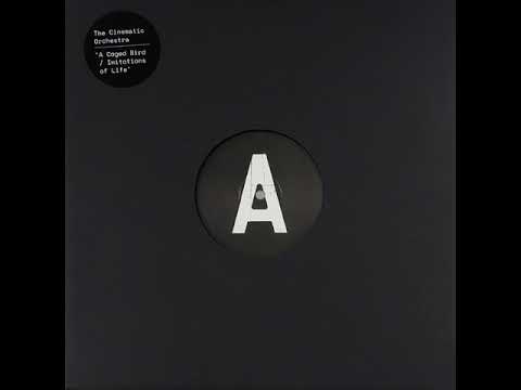 Cinematic Orchestra & Roots Manuva - A Caged Bird & Imitations Of Life