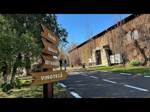 Tezaurul de la Pietroasa: vinul vechi și Cloșca cu puii de aur