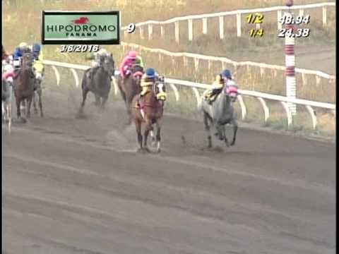 9NA CARRERA DEL DOMINGO 6 DE MARZO DEL 2016