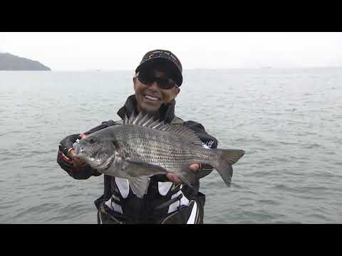 がま磯 アルデナ チヌ TVCM