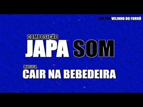 COMPOSIÇÃO JAPA SOM- CANTOR VEIN DO FORRÓ