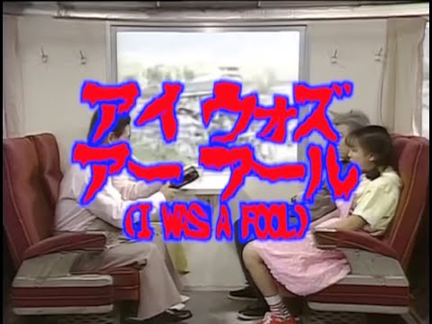 Sunflower BEan - I Was a Fool (cover)