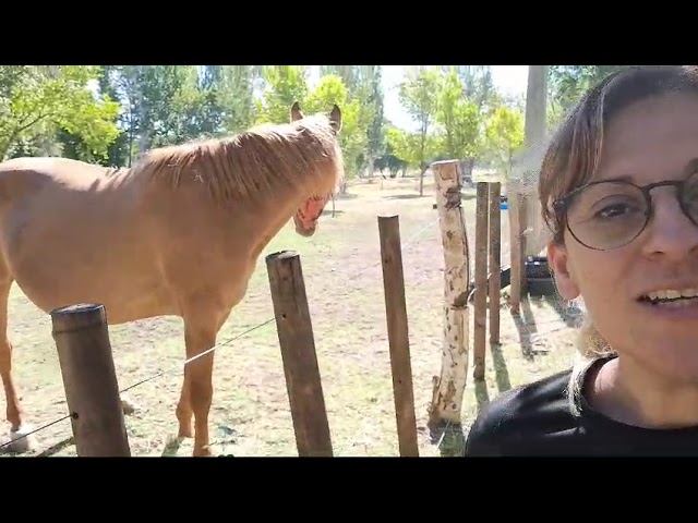 video testimonio