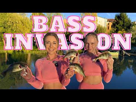 🎣 *Bass Invasion im Lago Superiore – Mit Guide Beni vom Waller Camp Amici del Siluro!* 🇮🇹🔥