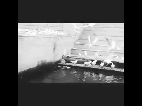 Sachin Patel Adequated P...