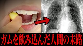【衝撃】知らないと損する日常で使える雑学がツッコミどころ満載だったwwwwww傑作選#23【なろ屋】【ツッコミ】