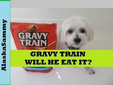 Gravy Train Dog Food