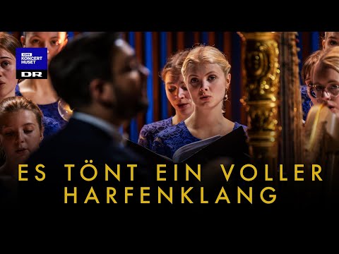 Es tönt ein voller harfenklang // DR Pigekoret (LIVE)