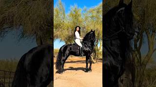 Download lagu Balck Horse beautiful ❤️❤️ mp3