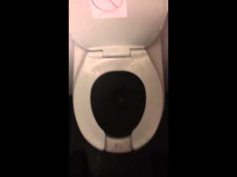 Aircraft toilet flush