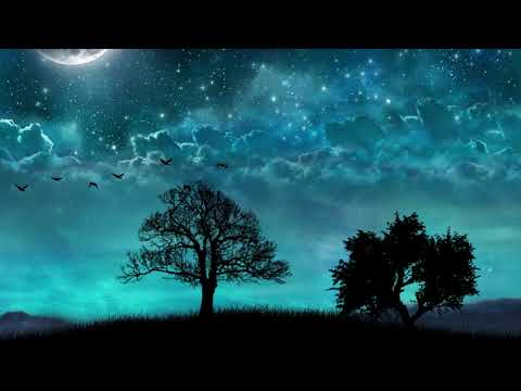 Always with me piano | 1 hour | healing, relaxing calm piano|