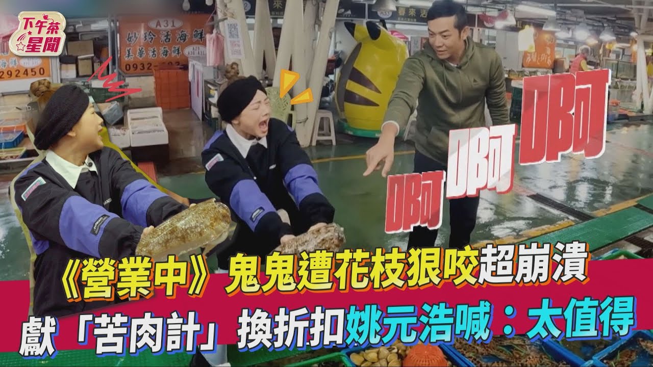 《營業中》鬼鬼被牠咬到瘀青爆哭　姚元浩幫擦眼淚「我幫妳報仇」