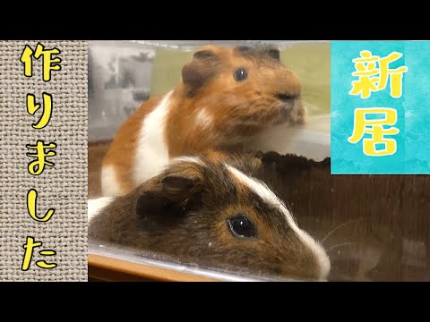 動画編集？俺に任せろ(-ᴥ-´  ✨…ですます イメージ1