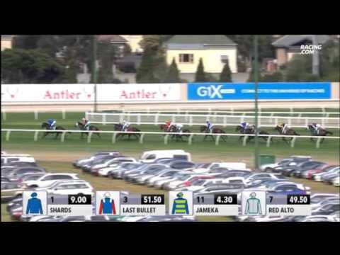 Group 2 Dilmah Exceptional Teas Vase - Jameka