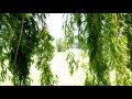 Flogging Molly - So Sail On. Enjoy :D
