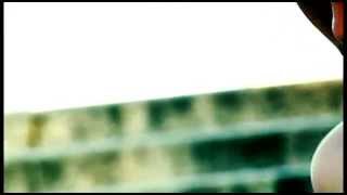 The Light, the Night and You