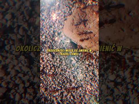 THIS WILL CHANGE EVERYTHING ABOUT YOU #motivation #quotes #acceptance