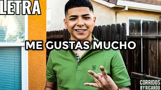 Marca Mp - Me Gustas Mucho |LETRA| 2020!