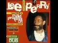 Lee Perry & Mad Professor - Feel The Spirit