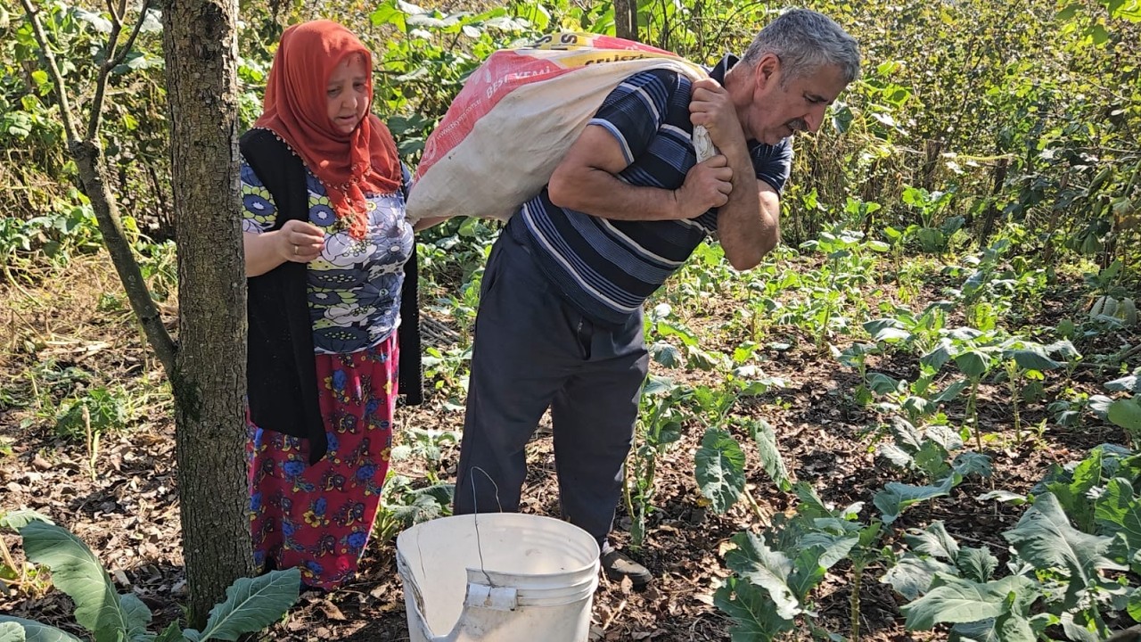 💪🌿 KOLLARI SIVADIK, ÇUVAL ÇUVAL TOPLADIK‼️☺️