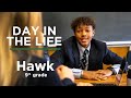 Hawk - Day in the Life