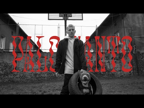 Video thumbnail for Palo Santo