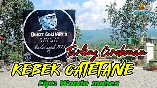Download lagu Tarling cirebonan - Kebek catetane _ a'am ayu aginnah mp3