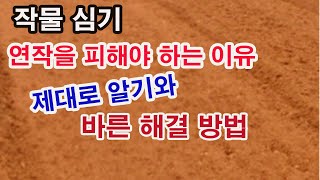 작물 심기. 연작을 피해야 하는 이유, 제대로 알기와 바른 해결방법(연작, 이어짓기, 돌려짓기, 윤작. 연작…
