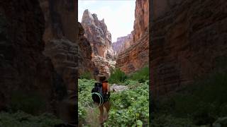 Where I wept. Overcome by the beauty. #grandcanyon #hikingadventures #solohike