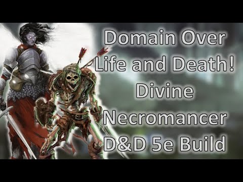 The Divine Necromancer! | D&D 5e Character Build