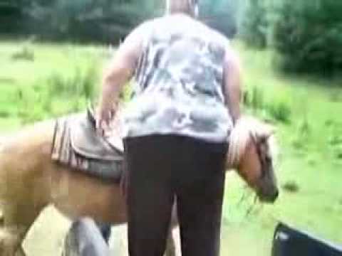 reitversuch  armes pferd (poor horse)