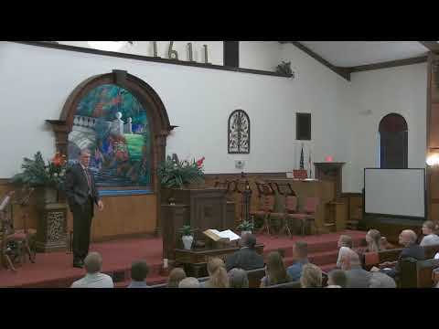 Purge Your Conscience - Dr David Peacock