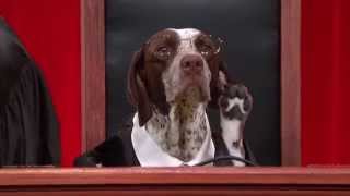 Chief Delphi, #RealAnimalsFakePaws