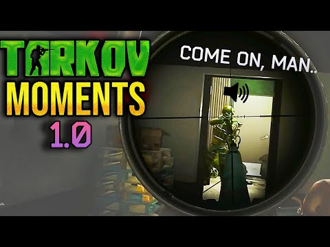 EFT WTF Moments | ESCAPE FROM TARKOV | Highlights & Clips Ep.441