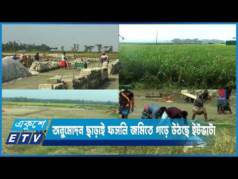 অনুমোদন ছাড়াই ফসলি জমিতে যত্রতত্র গড়ে উঠছে ইটভাটা | ETV News