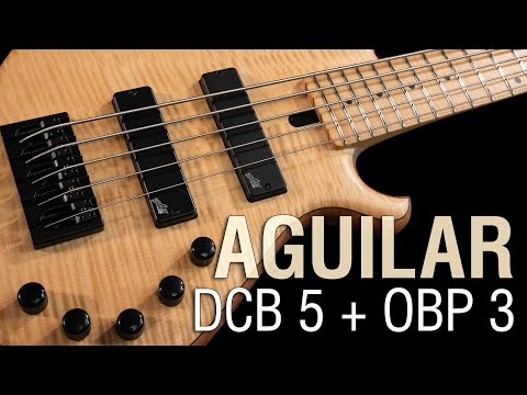 Aguilar DCB D4 + OBP 3 // Mensinger Cazpar 5a short scale 30"