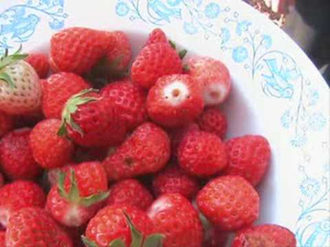 neve sonte po festojme-nazif cela